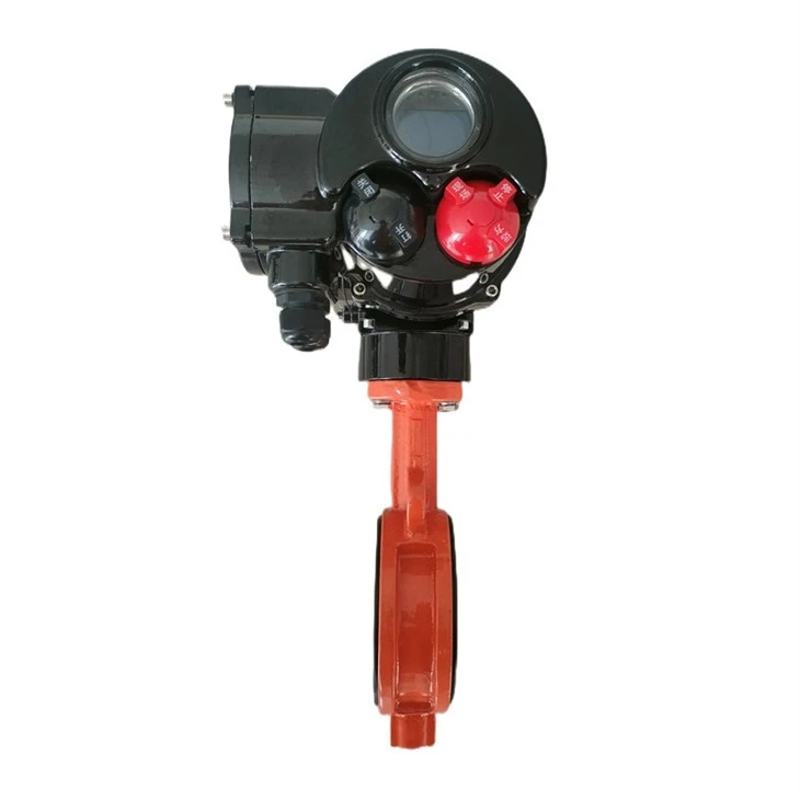 IMG20230625153751